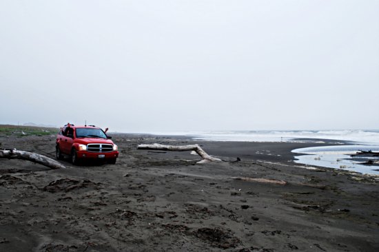 Beach Combing