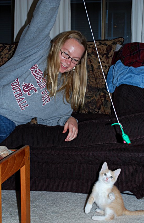 Kitten