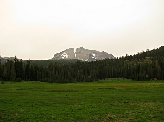 Lassen with a Meadow