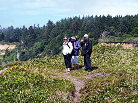 Parks on a Sea Cliff