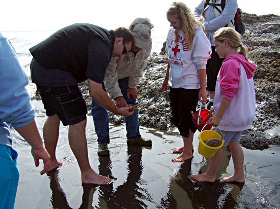 Starfish Inspection 
