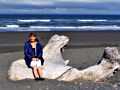 Ann on Driftwood