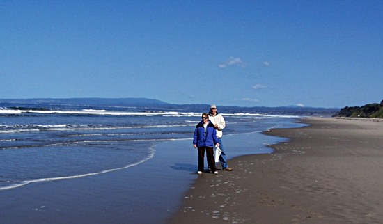 Beach Combers