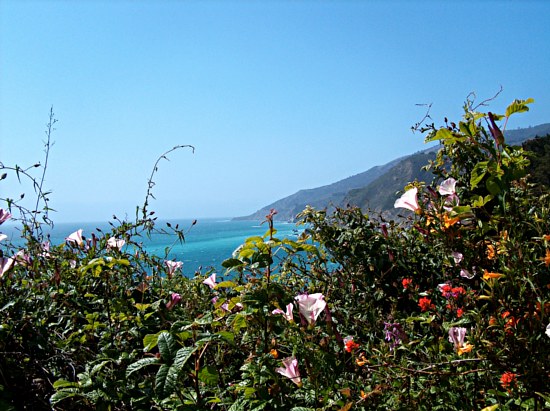 Big Sur Coastline