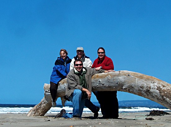Driftwood