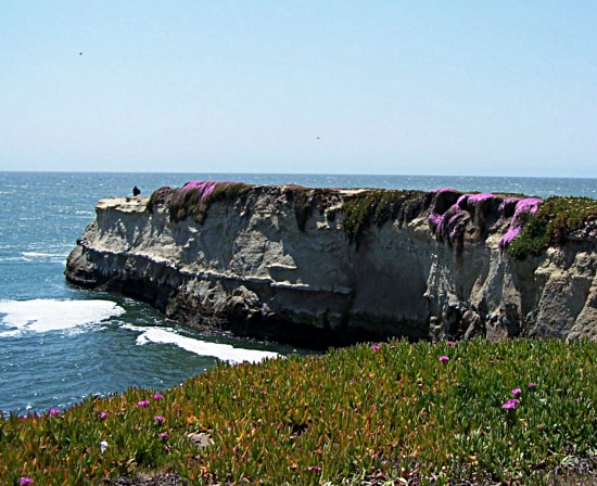 Lighthouse State Beach