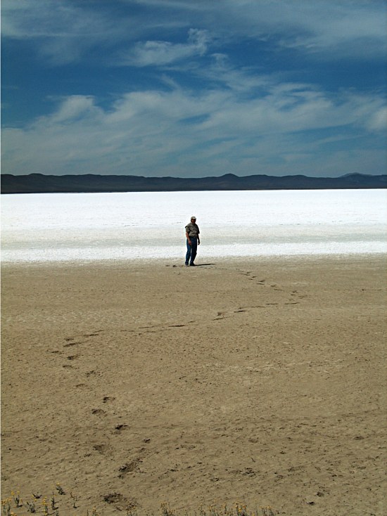 Salt Tracks