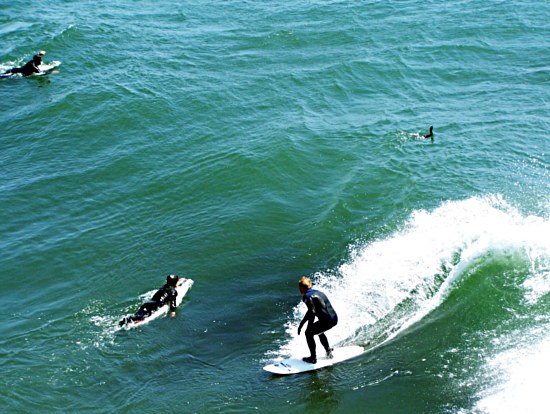 Santa Cruz Surfing