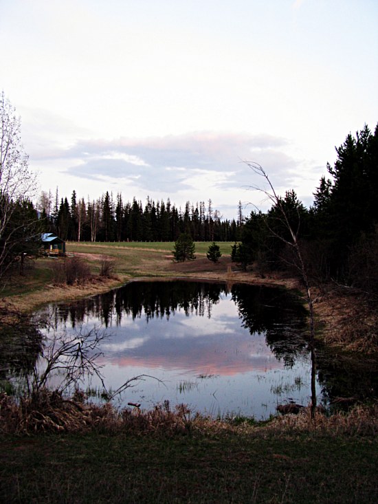 Horseshoe Pond