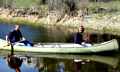 Previous