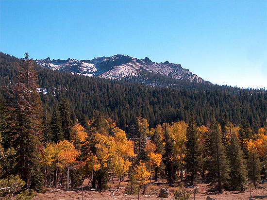 Golden Mountain
