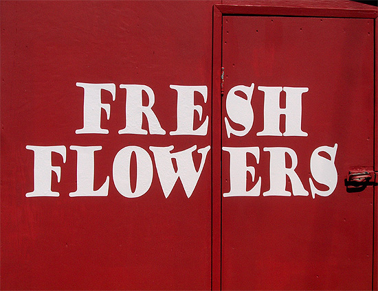Fresh Flowers