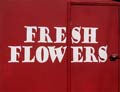 Fresh Flowers