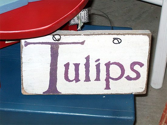 Tulips