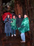 Wet Parks