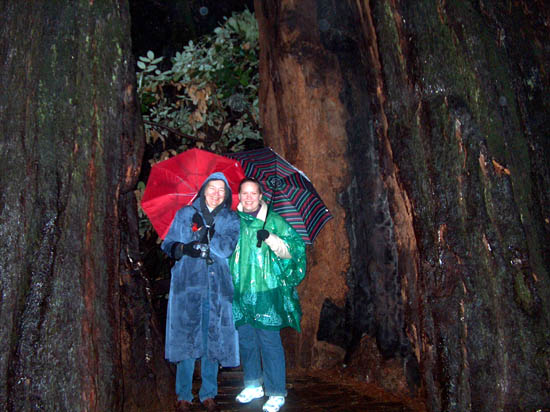 Caught in the Rain