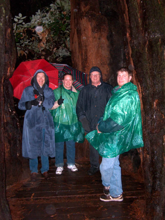 Wet Parks