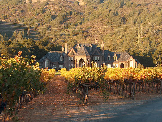 Ledson Winery