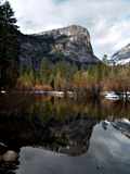 Reflection